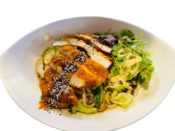 Japanische Udon-Nudel-Suppe